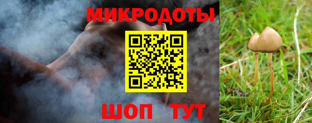 Галлюциногенные грибы Psilocybine cubensis Ливны